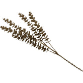Ramas 81x12x6cm